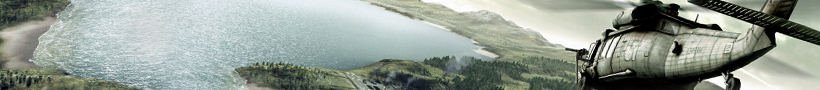 Arma 2 (PC)