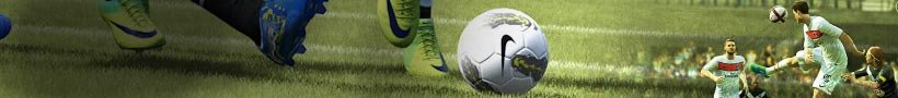Fifa 13 (Wii)