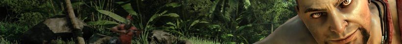 Far Cry 3 (360)