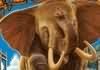 Zoo Tycoon