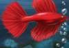 Fish Tycoon Lite