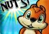 Nuts!