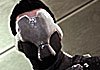 Shadow Complex