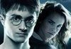 Harry Maximal-Level