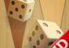 Backgammon - Deluxe HD