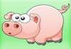 Funny Animals