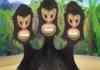 The Secret of Monkey Island Special Edition
