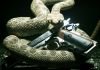 Hitman Absolution
