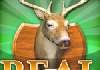 Real Deer Hunting