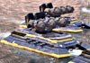 Supreme Commander 2