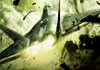 Ace Combat - Assault Horizon