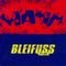 Bleifuss Fun