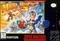 Mega Man X 3
