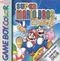 Super Mario Brothers Deluxe
