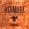Bermuda Syndrome (PC) Bermuda Syndrome (PC)