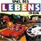 Spiel des Lebens