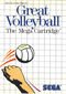 Great Volleyball