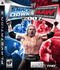Smackdown vs. Raw 2007