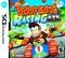 Diddy Kong Racing DS
