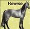 Howrse (Online)