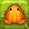 Pocket Frogs Pocket Frogs