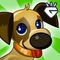 Tap Pet Hotel Tap Pet Hotel