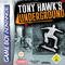 Tony Hawks Underground
