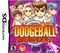 Super Dodgeball Brawlers