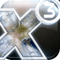 X3 Terran Conflict