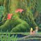 Secret of Mana (iPhone)