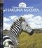 Hakuna Matata Hakuna Matata