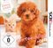 Nintendogs + Cats - Zwerg-Pudel (3DS)