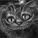 Lachkatze95