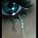 jassi12