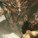 Bilbo__Gandalf Bilbo__Gandalf