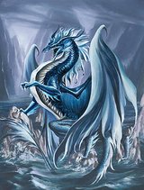 Drachenzorn