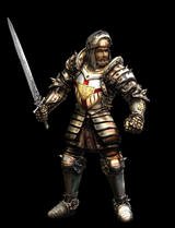 Sunraider