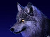 Lord_Wolf