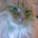 Mozi_007