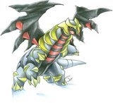 dragon4