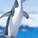 Pinguinlover