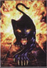 ShadowTD
