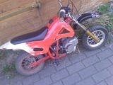 Monster_Karly