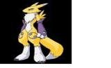 Renamon-95