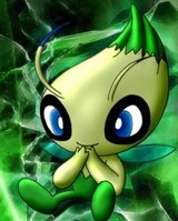 michi111
