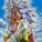 broly96