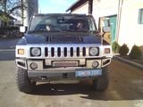 Robib1234