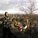 Dirt2-Raser