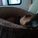 jack_russel