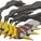 giratina1234